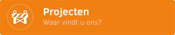 Projecten